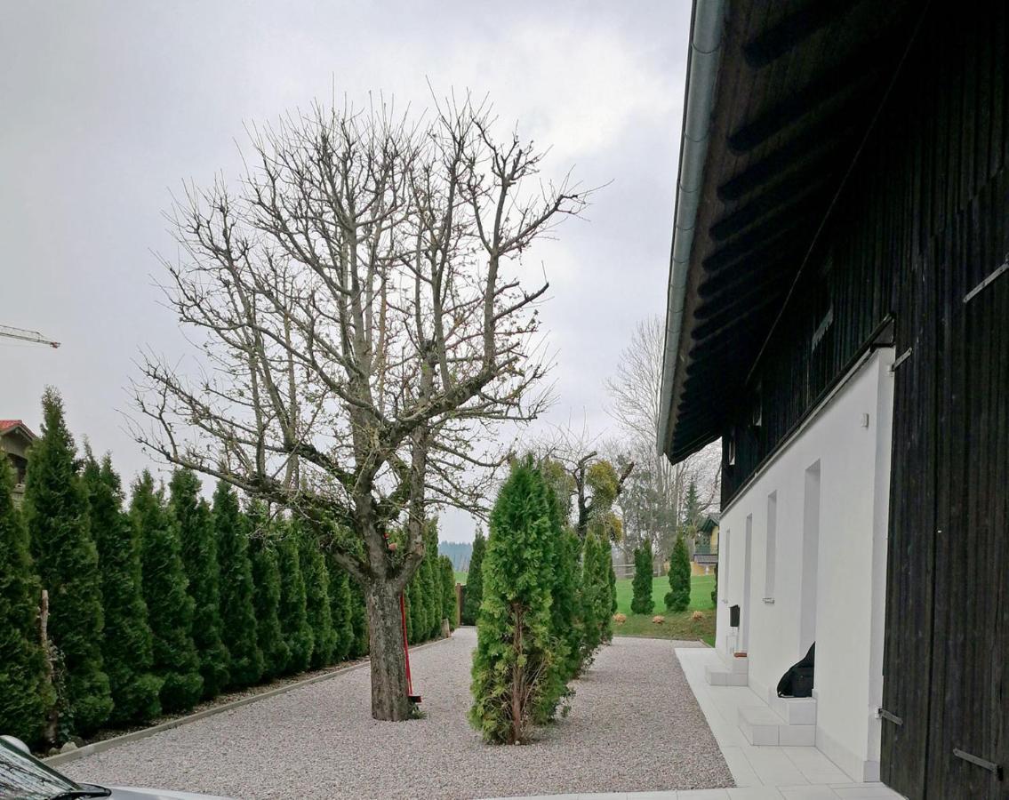 Muensing Naehe Starnberger See, Schoene Ferienwohnung, Gaestewohnung 125Qm Eg Und Og Kontaktfrei Екстериор снимка